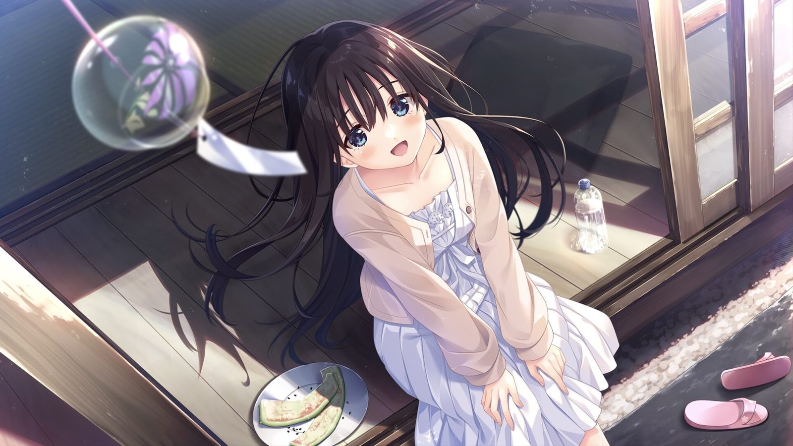 痴情哥哥与病弱妹妹的乡间生活DLC1 PC中文版 专题图 1