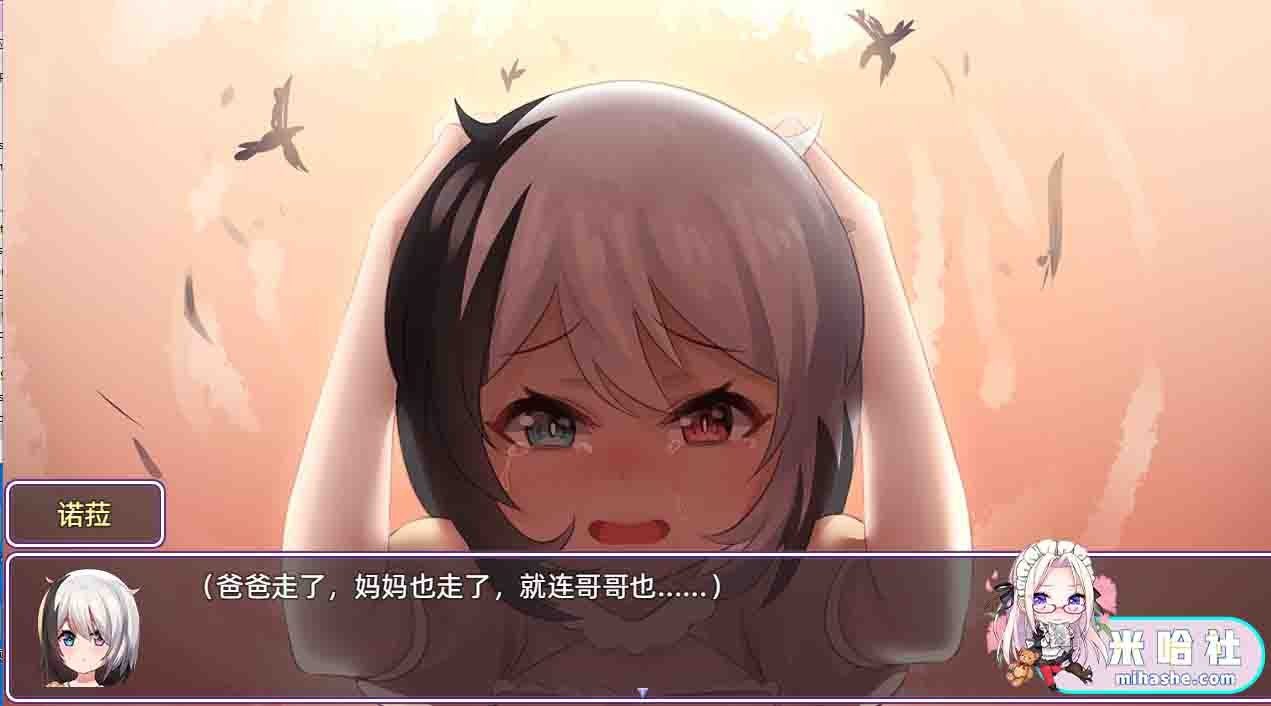 光与影的二重身 圣骑士 场景图 8