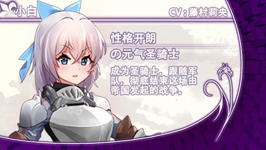 光与影的二重身 圣骑士 实机截图 1